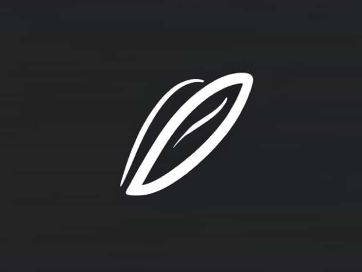 Best Nib For Spencerian Script