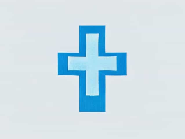 Blue Cross Blue Shield Mn