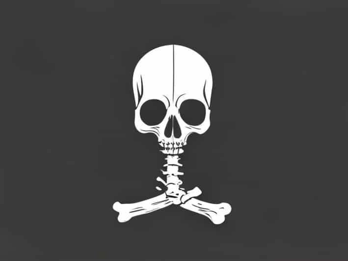 Bones That Ossify In Membrane