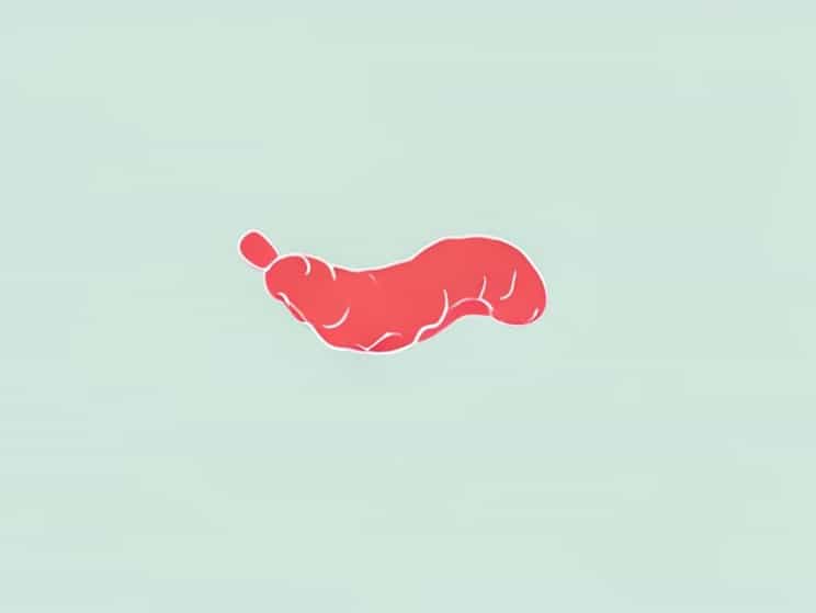 Early Stage Hookworm Rash Pictures