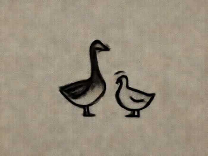 Goose And Gander Downings