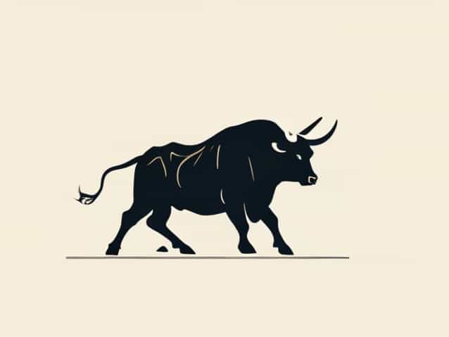 How Does A Bullfight Work