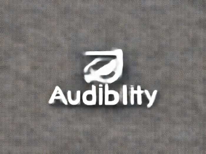 Is Audibility A Word