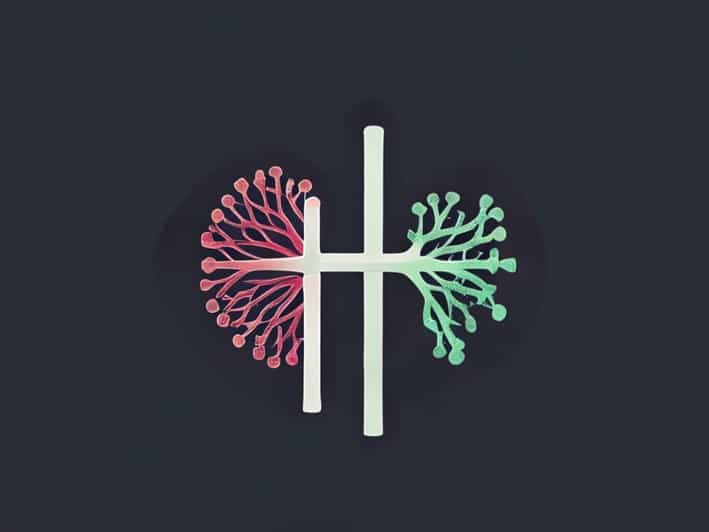 Juxtamedullary Nephrons And Cortical Nephron