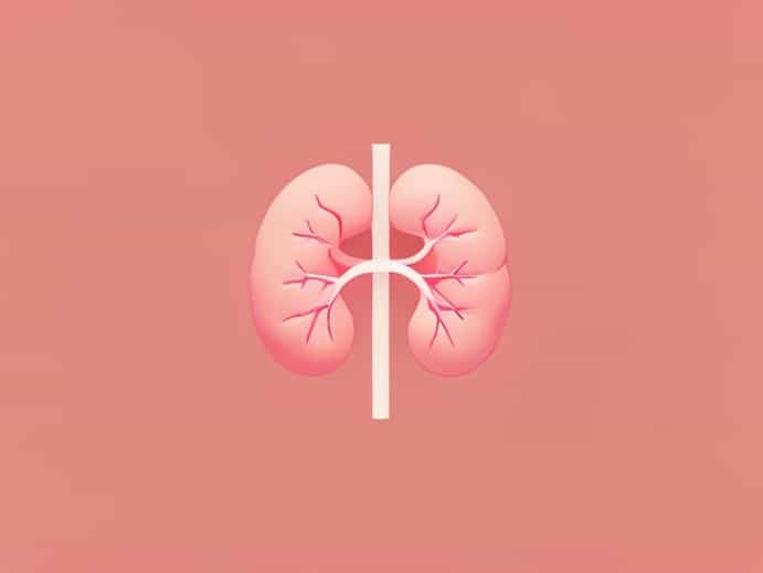 Kidney Dilation In Babies