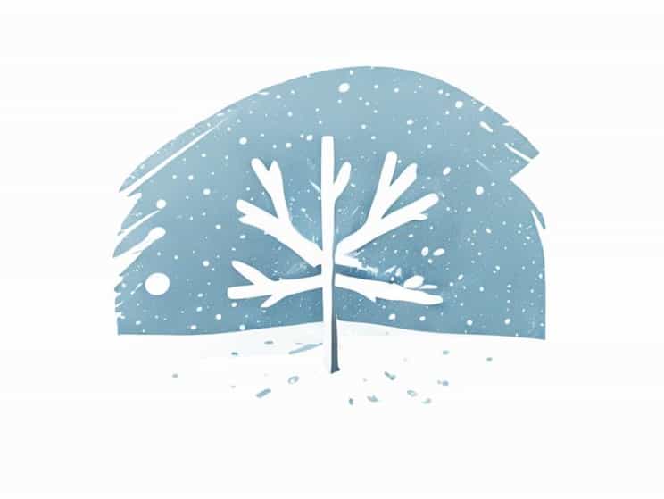 Ontario Snow Squalls Snowfall Totals