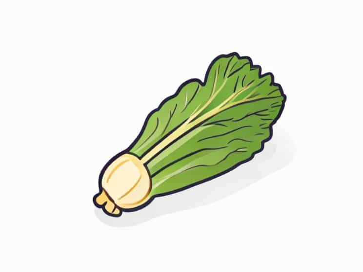 Other Names For Swede Vegetable