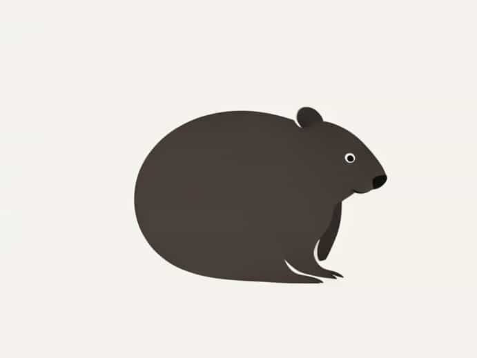 Shape Of Wombat Poop