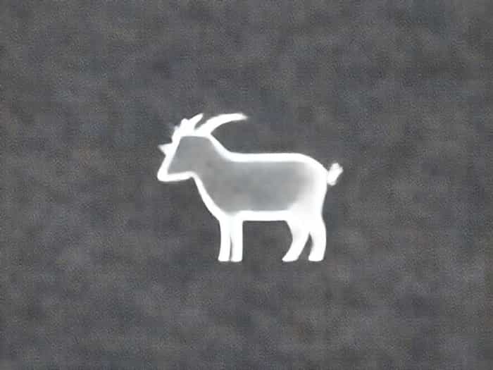 Small Ruminant Research Abbreviation