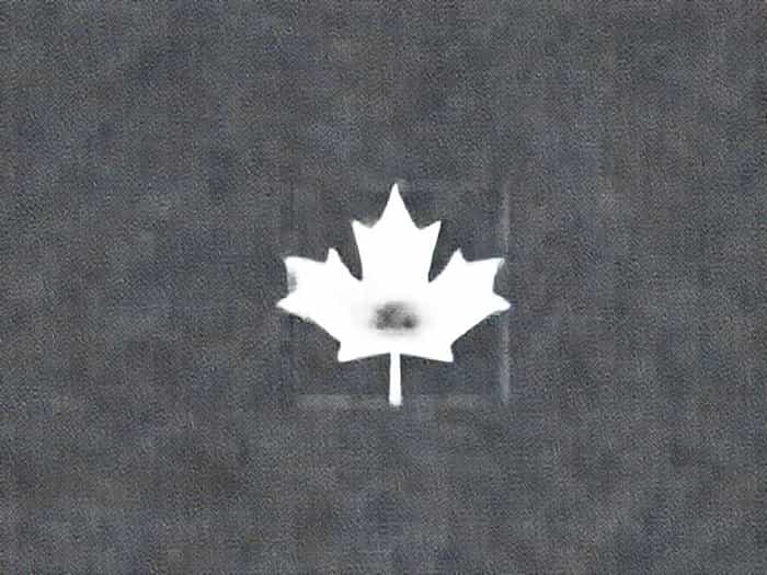 The Nuance Group Canada