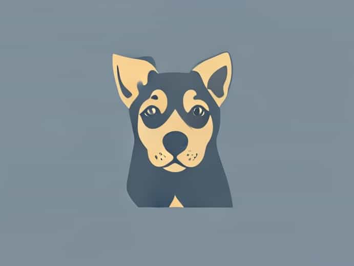 Vets For Pets Rayleigh