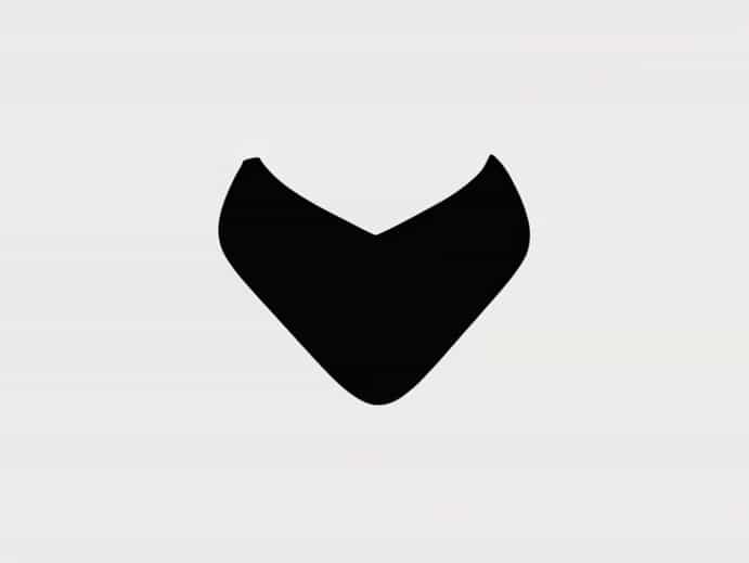 Victoria Secret Nipple Covers