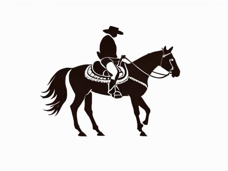 Western Side Saddle For Sale