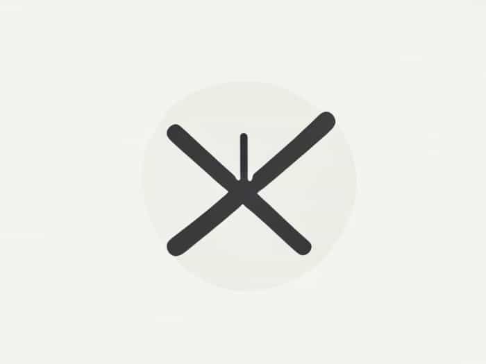 What Does Styli Mean