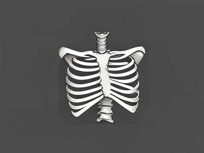 At What Age Does The Sternum Ossify