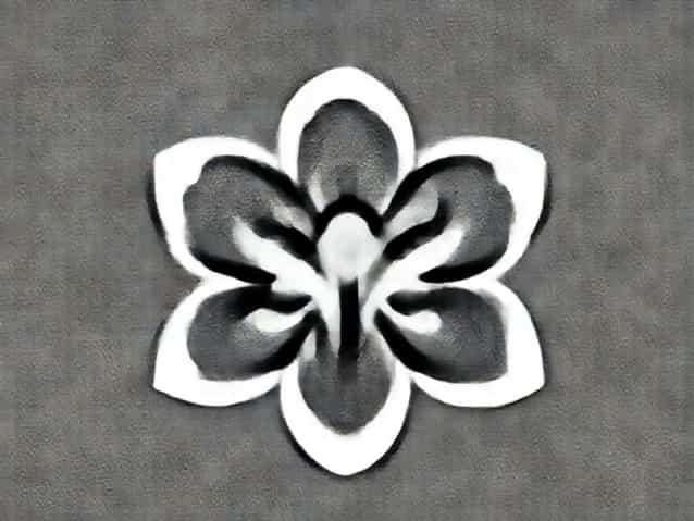 Boundlessness In Bloom By Duy Huynh