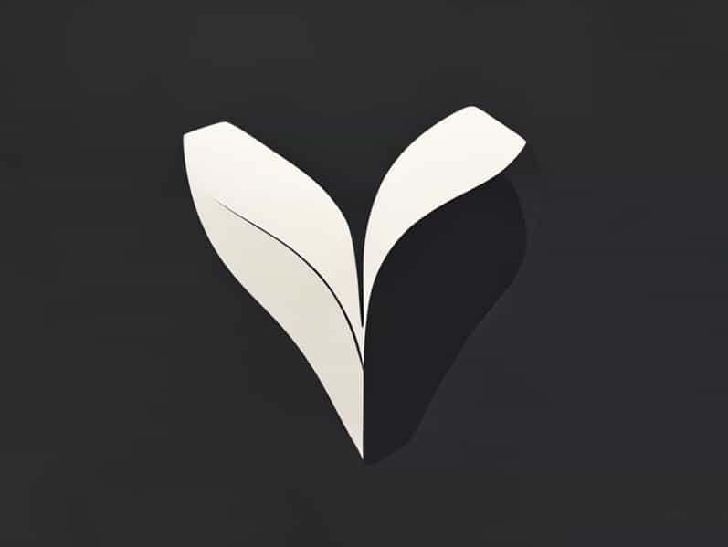 Cleavage Furrow Forms In What Phase