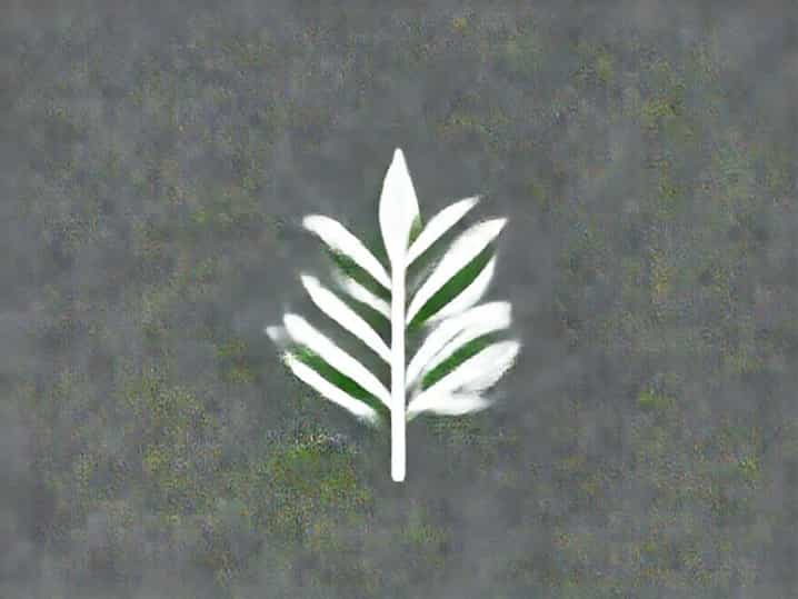 Japanese Privet Ligustrum Japonicum