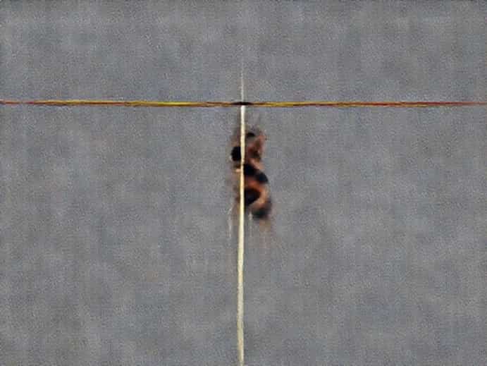 Video Of Anthony Ammirati Pole Vault