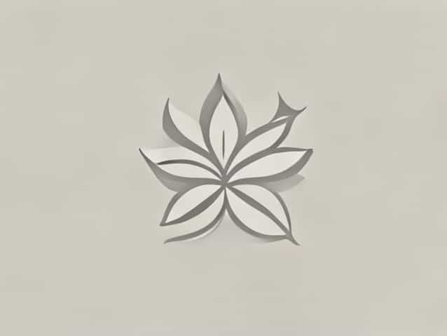 What Is The Hindi Meaning Of Studied