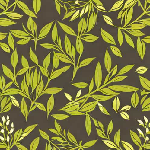 Is Aniseed And Fennel Seed The Same