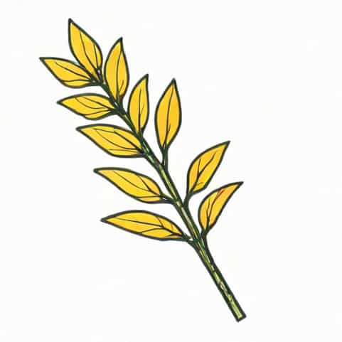 Possessing A Stem Or Stalk Peduncle