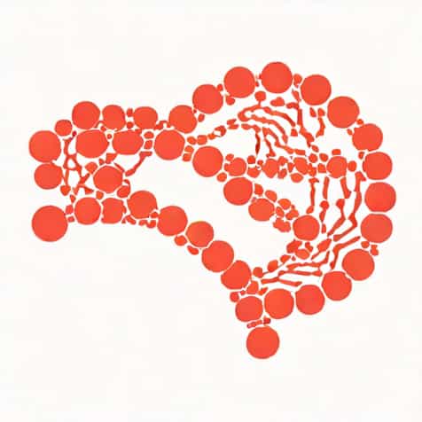 The Mrna Codon Cuu Could Mutate To