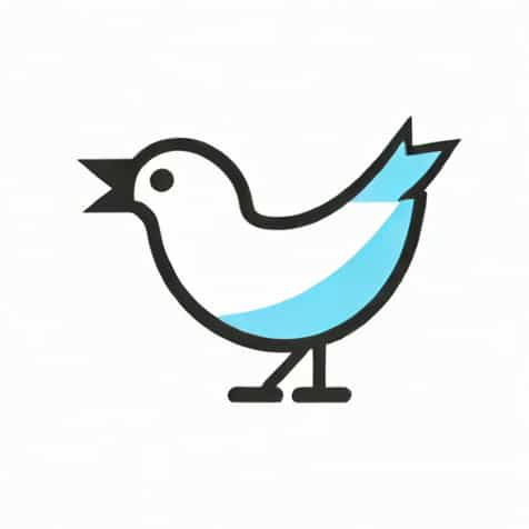 Twitter Purchaser Terms Of Service