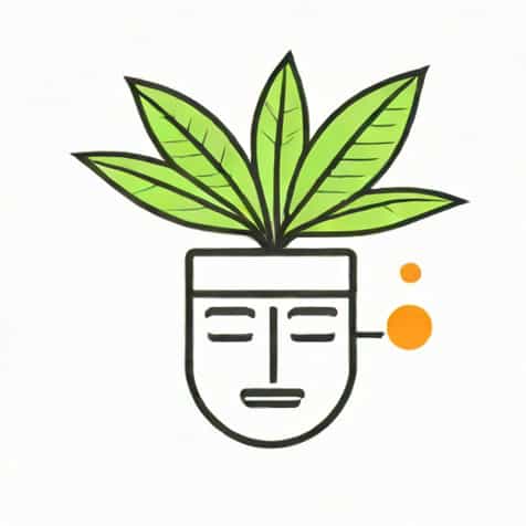 What Is The Definition Of A Pothead