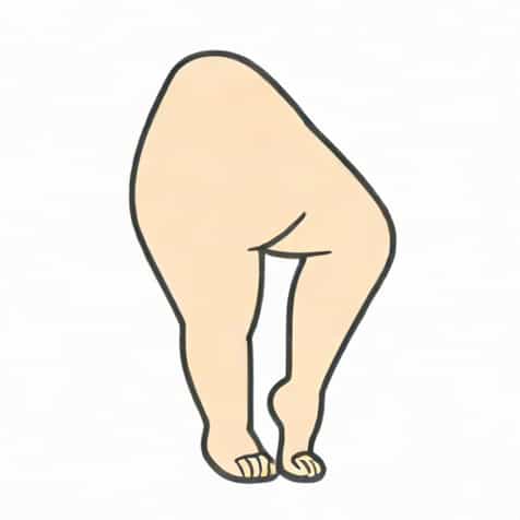 What Is The Function Of Mons Pubis