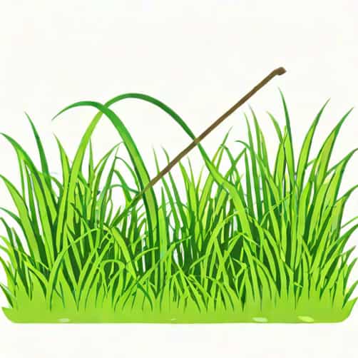 Does Curtail Kill Grass
