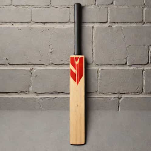 Gray Nicolls Kaboom Bat