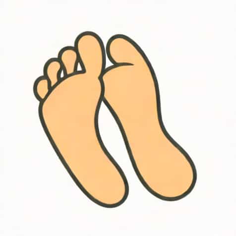 Toe Off Forefoot Shape